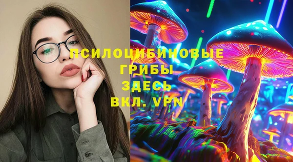 mdpv Елабуга