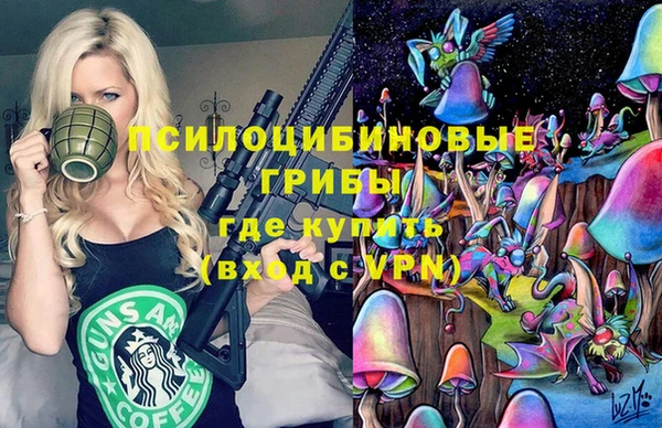 mdpv Елабуга