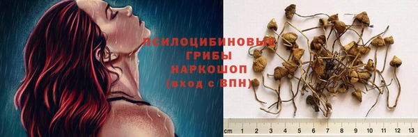 дурь Болохово