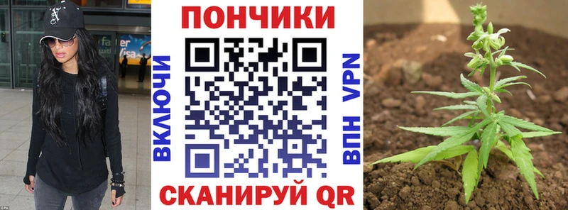 Купить  Малмыж  МАРИХУАНА ГИДРОПОН 